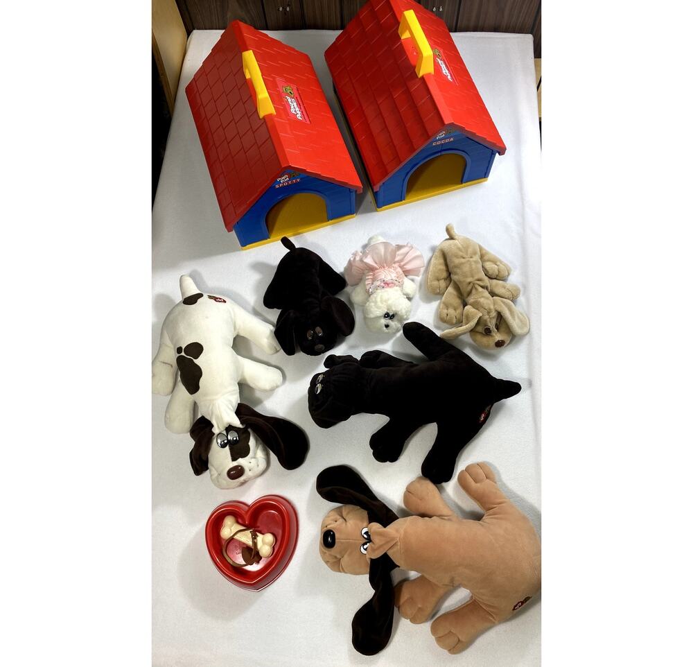 Vintage 1980s Pound Puppies Lot Tonka Pups Pad Dog House Carrying Case Plush
